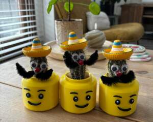 Plantenbak Legohoofd